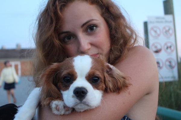 young girl with wavy auburn hair and a Blenheim Cavalier King Charles puppy