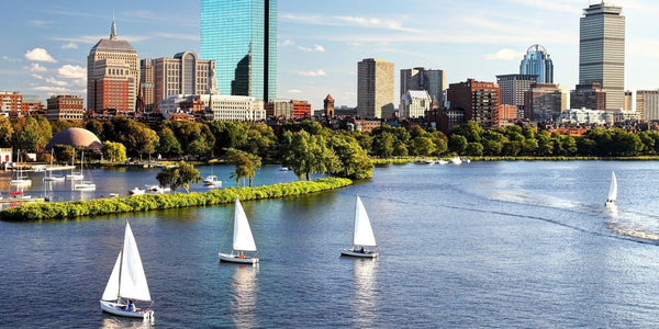 Boston Harbor with sailboats and the Boston skyline