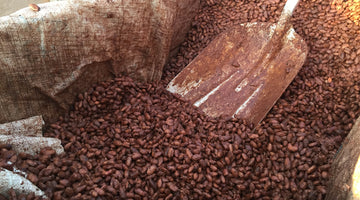 Hershey Avoids Paying New Living Wage Premiums For Cacao