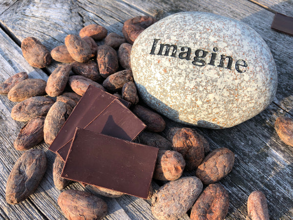 dark chocolate slivers laying atop several cacao beans next to a rock that reads, 'Imagine'