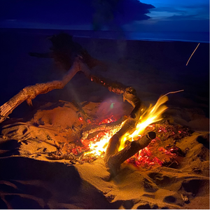 gorgeous beach campfire with burning tree branches